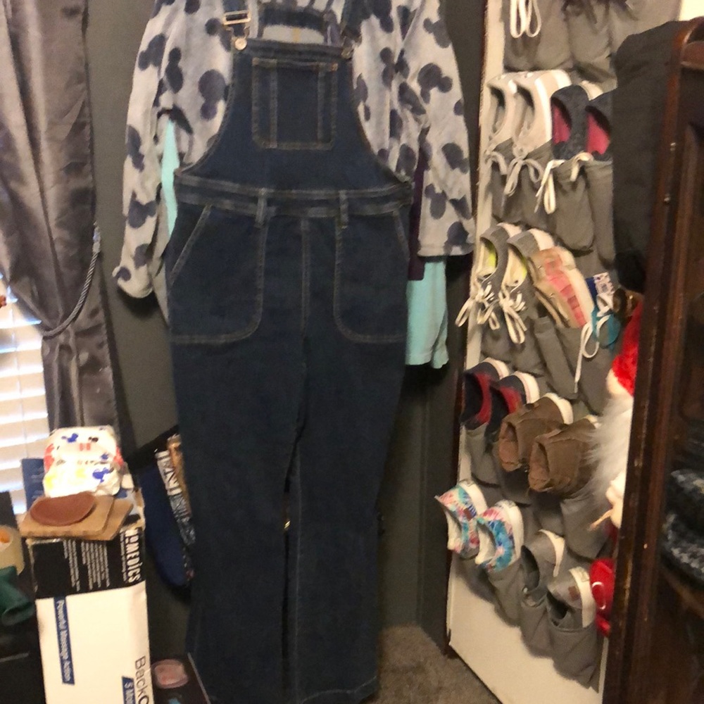 Brand new torrid overalls super cute FIRM